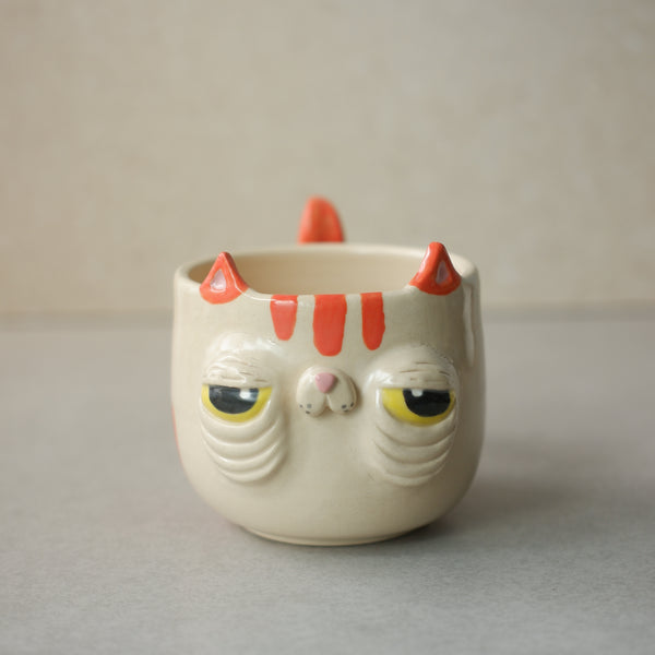 Meowrange Cat