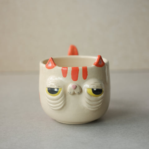 Meowrange Cat