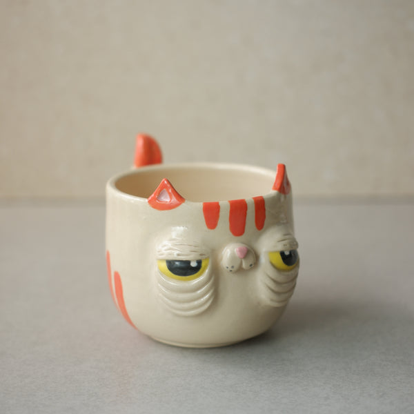 Meowrange Cat