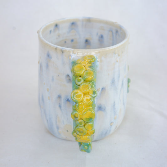 Forsythia